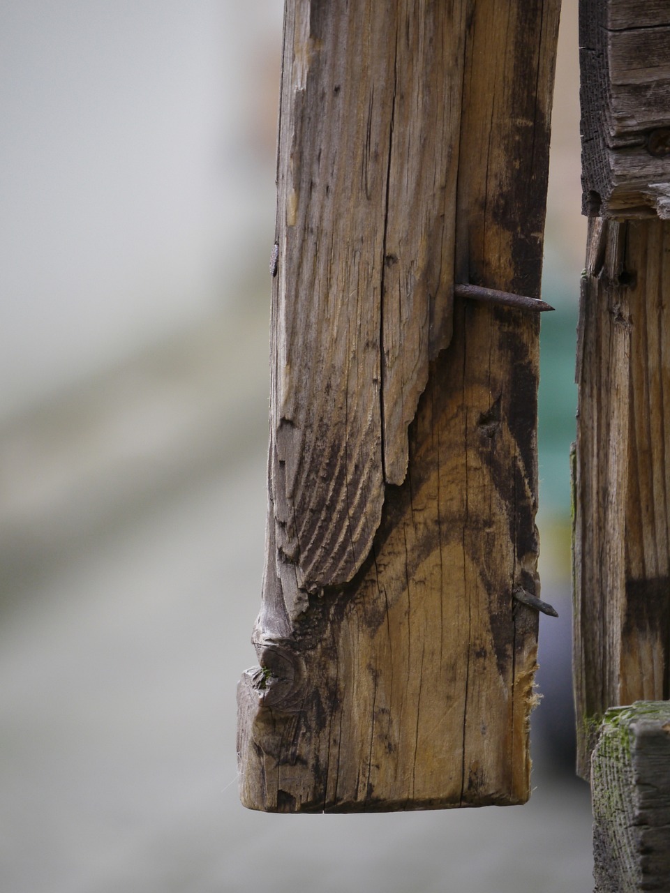 Idoso é preso por estuprar criança e agredir mãe da vítima a pauladas em Humaitá 