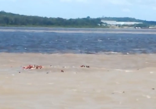 Nova Olinda do Norte cancela Carnaolinda após naufrágio de lancha