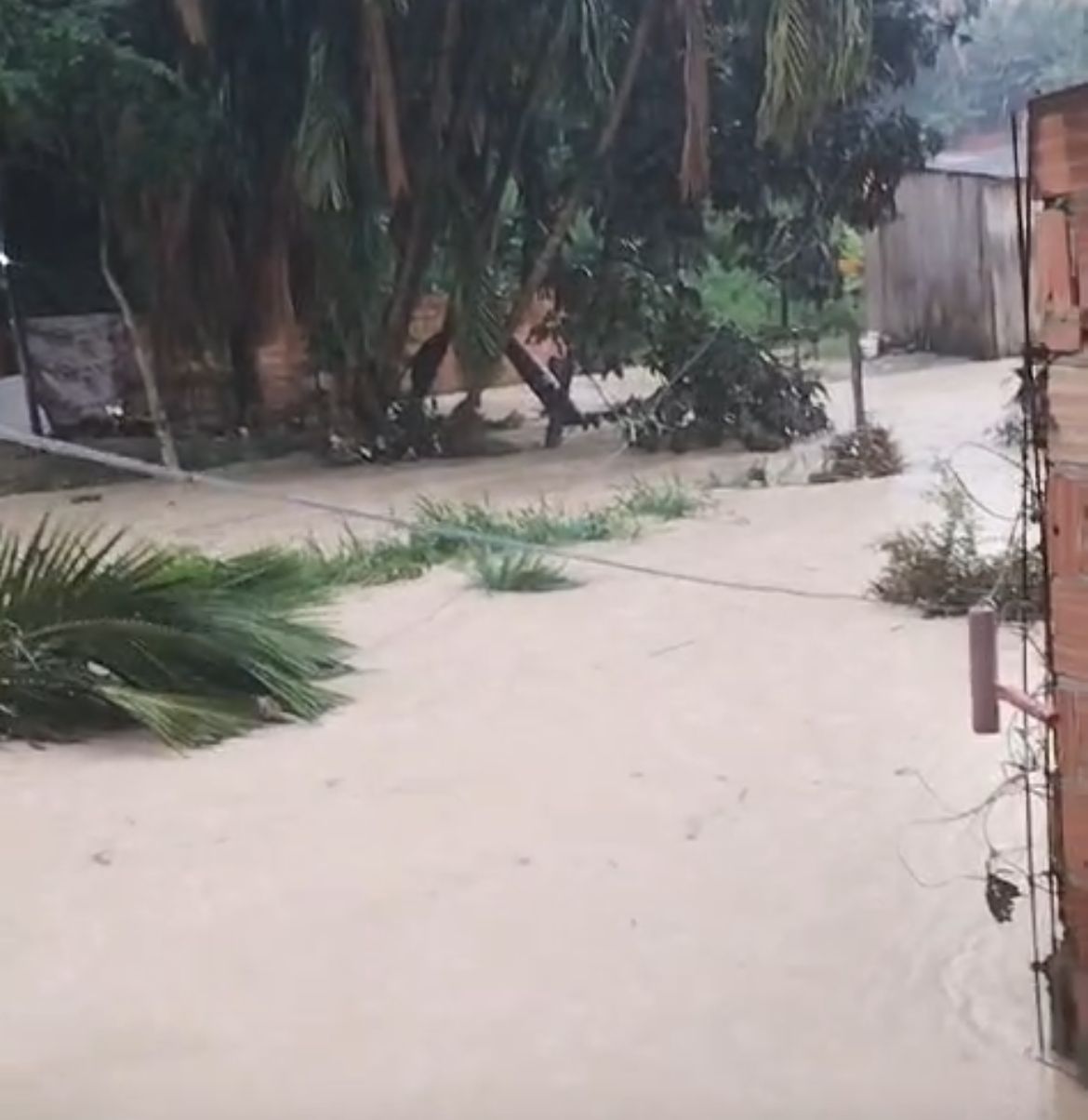 Alagações e desabamentos: Manaus registra 39 ocorrências durante chuva