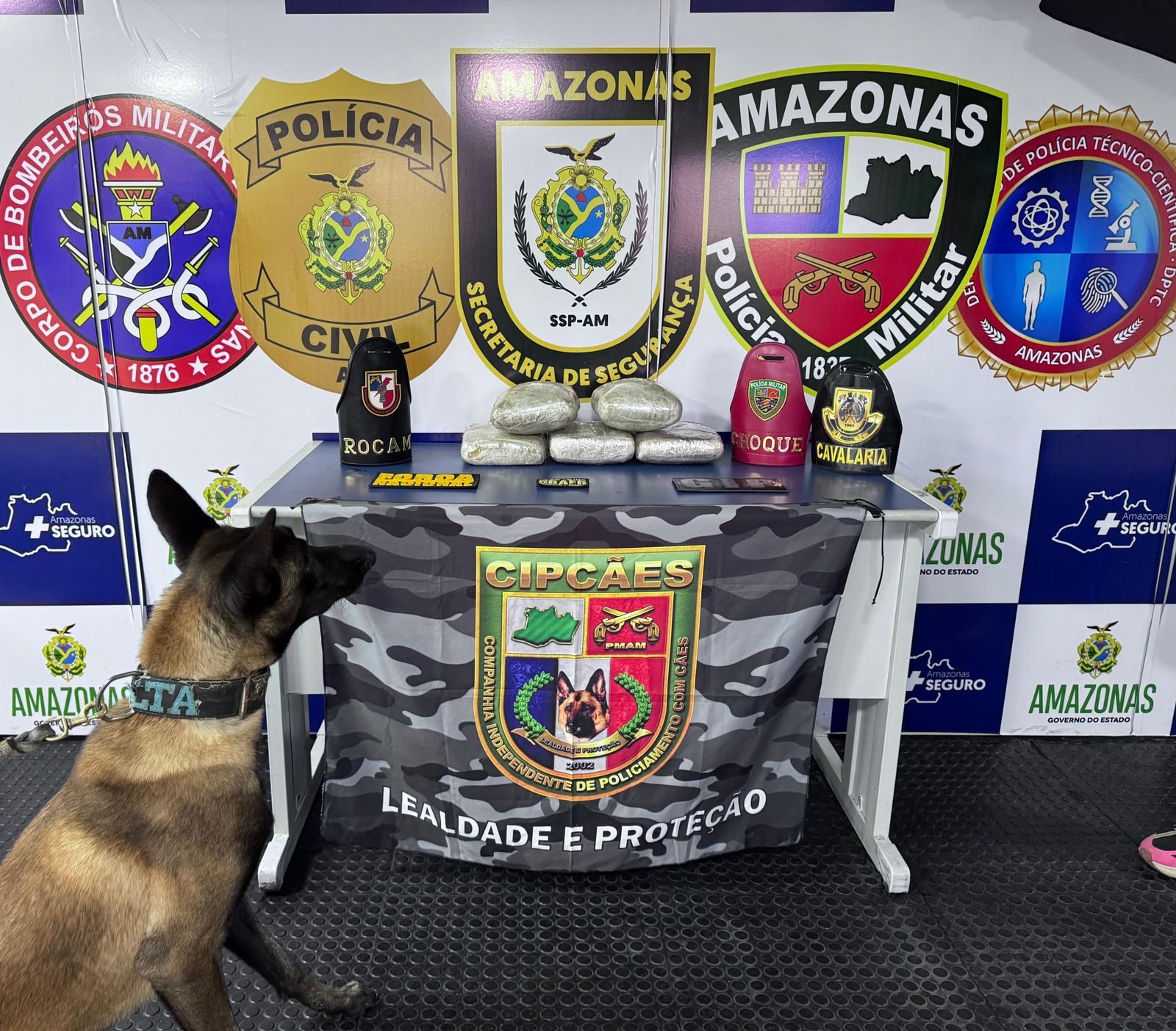 Mulher é presa em embarcação com drogas avaliadas em R$ 100 mil no Amazonas