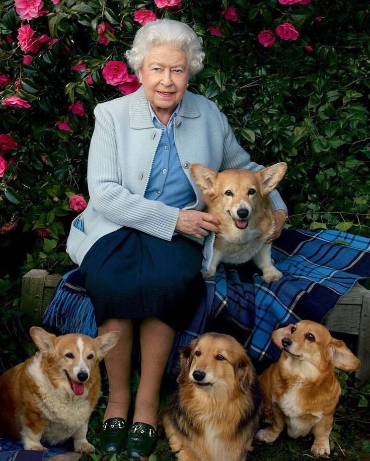 Rainha Elizabeth 2ª já não pode mais passear com seus cães por fragilidade