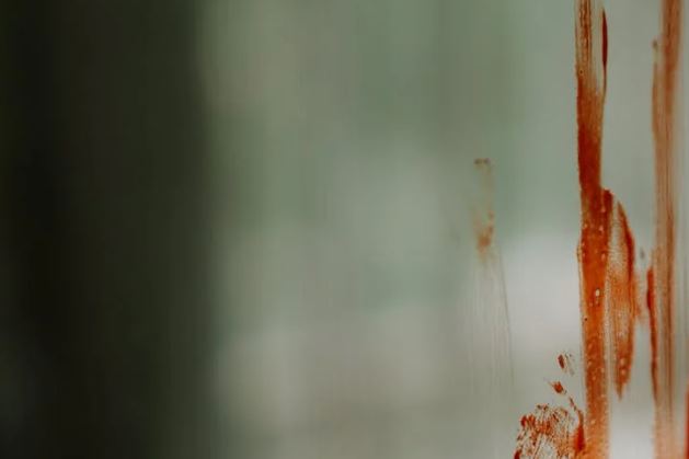 Homem é achado morto após levar tiro na cabeça em Manaus 