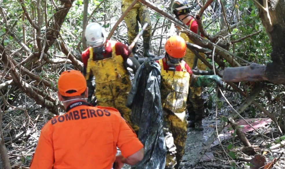 Corpo de piloto é encontrado em mangue após queda de avião em Sergipe