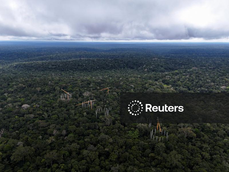 Governo mira US$4 bi em novo leilão focado em investimento estrangeiro que deve impulsionar ecoturismo