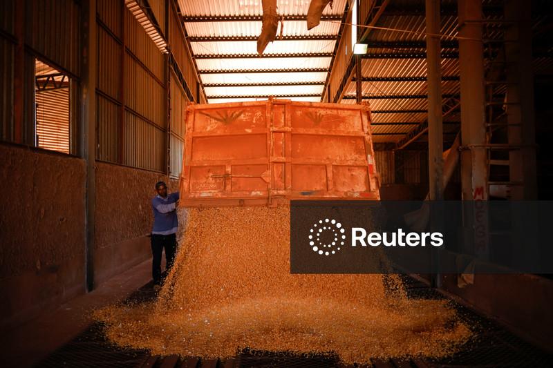 Anec eleva previsão para exportação de soja, farelo e milho do Brasil em fevereiro