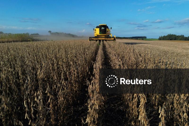 FILE PHOTO: Soybean harvest in Rio Grande do Sul state, Brazil