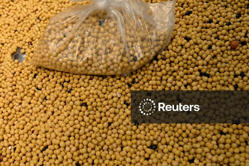 Chinesa Sinograin vende estoques de soja antes da chegada de carga dos EUA