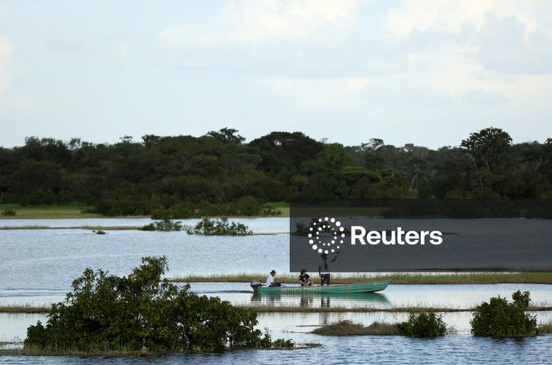 Itaú Unibanco diz que vai investir R$200 mi em ativos florestais da Dexco