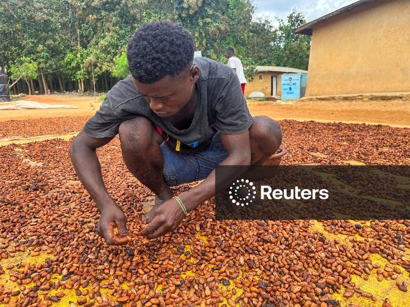 Cacau se recupera em Londres, açúcar bruto supera nível de resistência