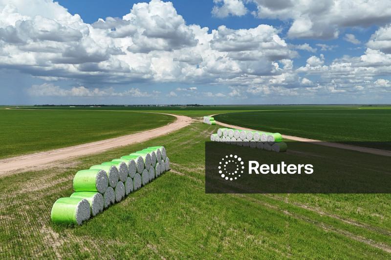 Brasil exporta volume recorde de algodão em dezembro, aponta Secex