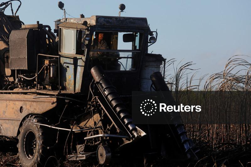 Acordos de exportação de açúcar da Índia ganham força com preços mais baixos e moeda fraca