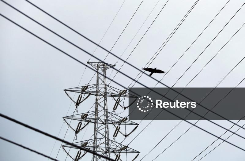 Aneel aumenta peso da satisfação dos consumidores no cálculo da tarifa de energia