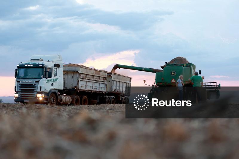 Colheita de soja do Brasil atinge 0,53% da área total, diz Pátria AgroNegócios