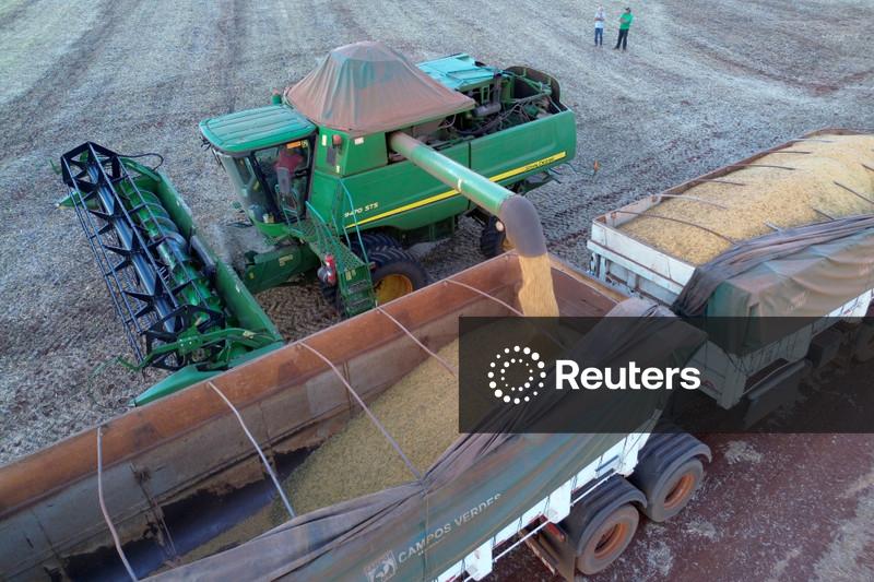 Anec vê aumento da exportação de soja do Brasil em fevereiro, após janeiro abaixo da previsão