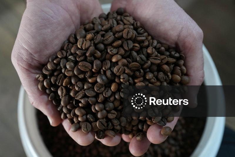 Vendas de café 25/26 do Brasil alcançam 69% da produção, aponta Safras