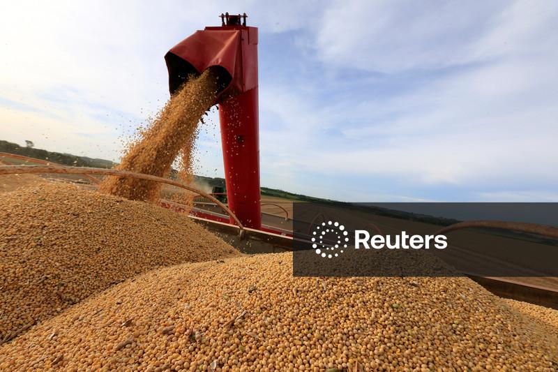 Be8 anuncia aquisição de usina de biodiesel em MT; produção no Brasil deve crescer mais de 40% em 2025