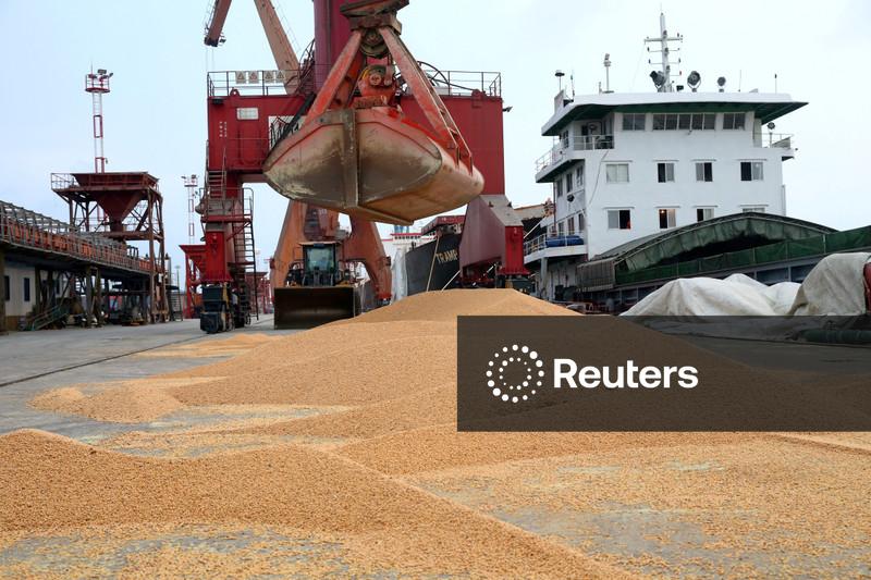 Chinesa Sinograin vende um terço da soja ofertada em leilão, diz Mysteel