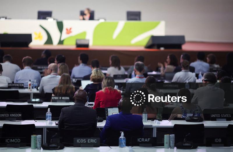 COP30-Presidência brasileira elabora esboço de proposta de acordo