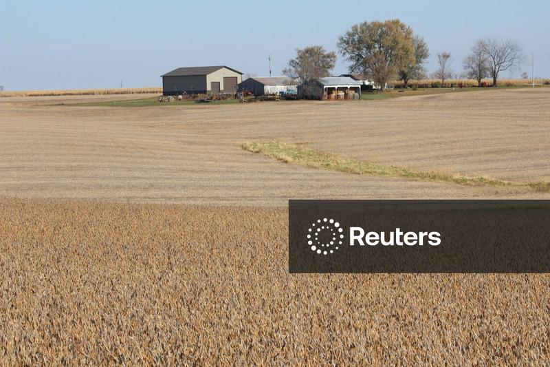 Soja sobe ligeiramente antes de dados do USDA; demanda fraca da China limita ganhos
