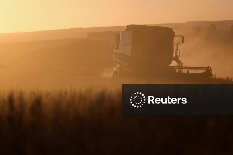 Anec reduz previsões de exportações de grãos do Brasil, mas ainda vê recorde para o farelo