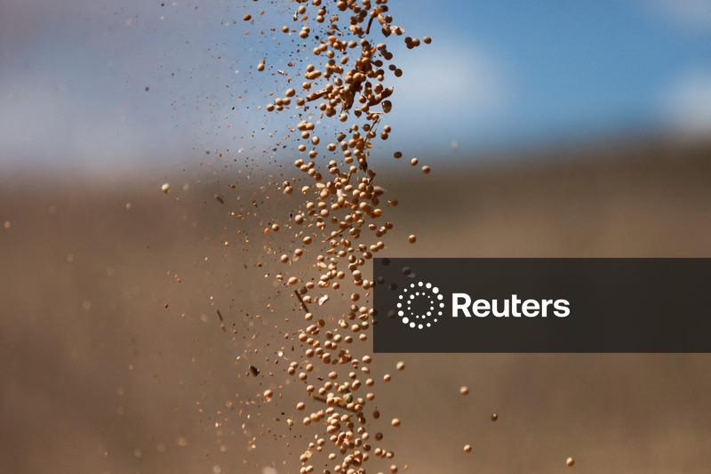 USDA reduz perspectivas de safras dos EUA, mas ainda vê recorde para o milho