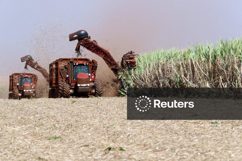 Produtividade da cana do centro-sul acumula queda de 4,9% na safra 25/26, diz CTC