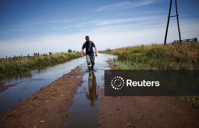 Enchentes atrasam plantio de soja e milho na Argentina