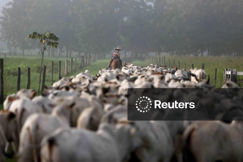 Japão marca auditoria sanitária sobre carne bovina do Brasil para março de 2026, diz ministério