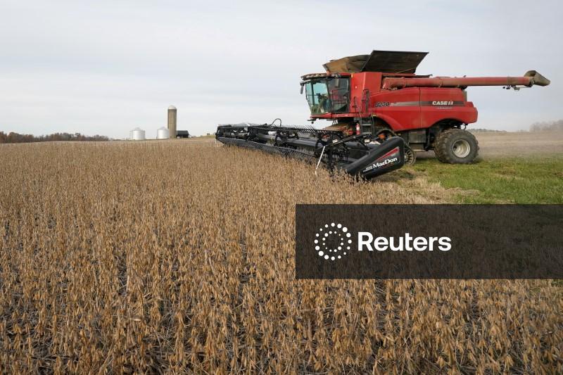 Plantio de soja 25/26 no Brasil atinge 81%, diz AgRural