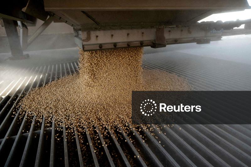 Produção de grãos da China aumenta 1,2% em 2025, atingindo novo recorde