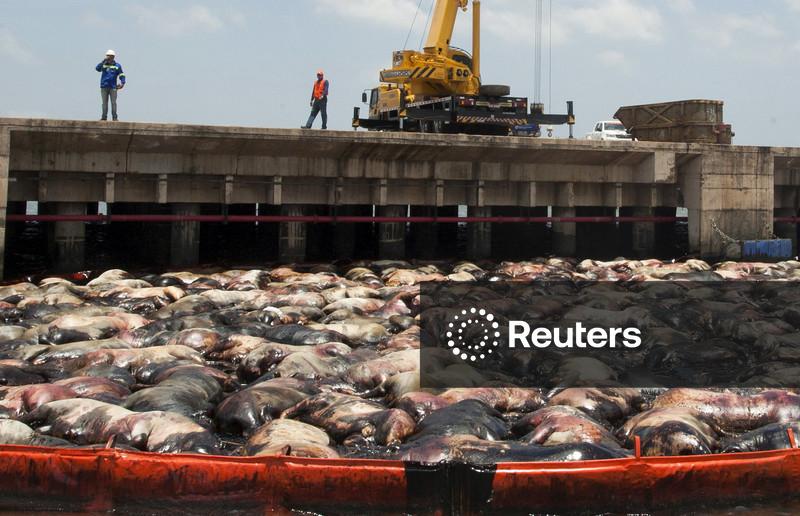 Ministério Público pede remoção de casco e resíduos oleosos do navio Haidar sob risco ambiental