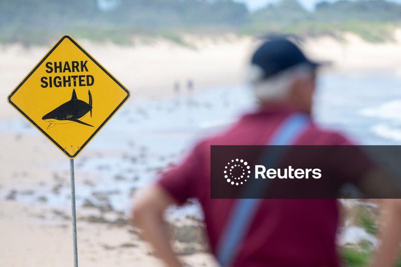 Praias de Sydney são fechadas após três ataques de tubarão em dois dias