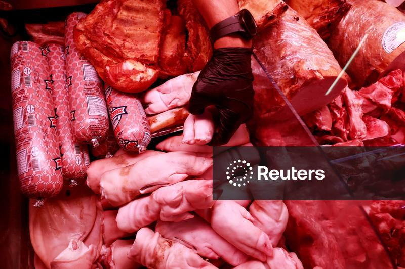 Reino Unido vai reter carne suína fresca e produtos espanhóis em meio a surto de peste suína africana