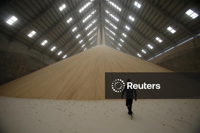 Exportações de açúcar da Ucrânia caem 37,8% em 2025, para 463.700 t, diz sindicato