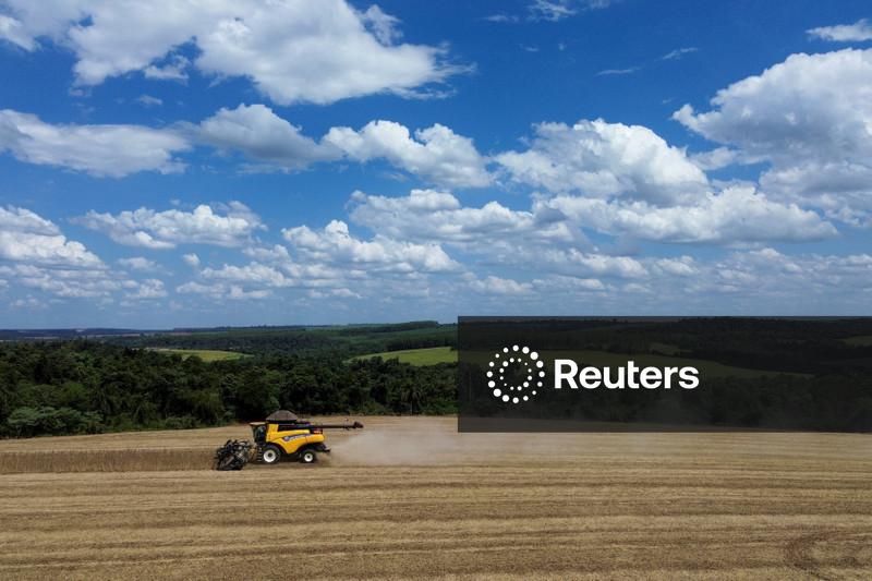 EUA ampliarão plantio de soja em 2026 e cortarão área de milho, prevê USDA