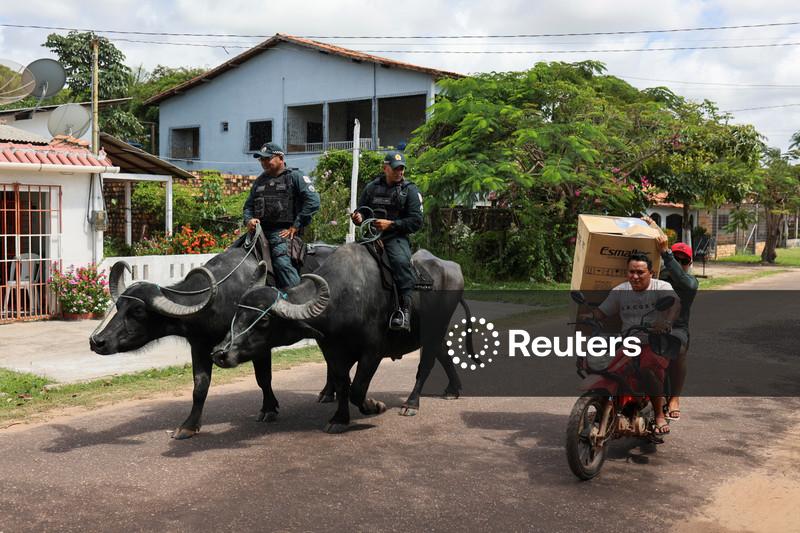 Perto da COP30, polícia patrulha Ilha de Marajó em búfalos