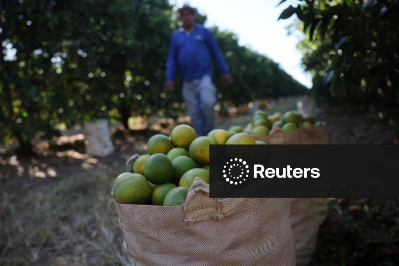 Brasil tem desemprego de 5,4% no tri até outubro, diz IBGE