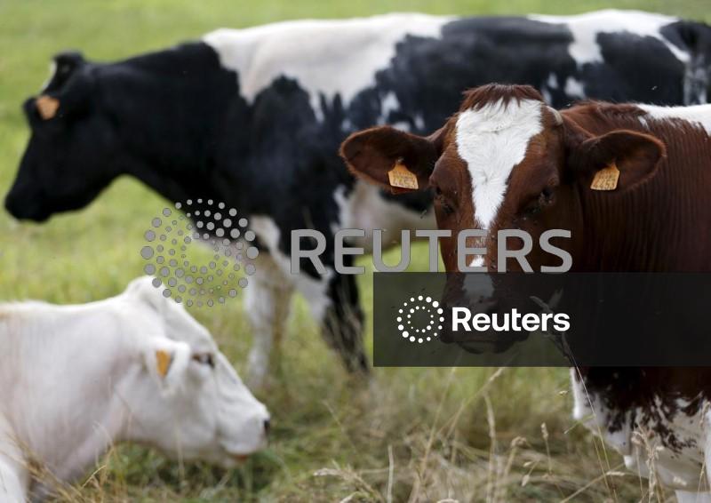 JBS prevê margens mais apertadas para carne bovina nos EUA no 4º tri por escassez de gado