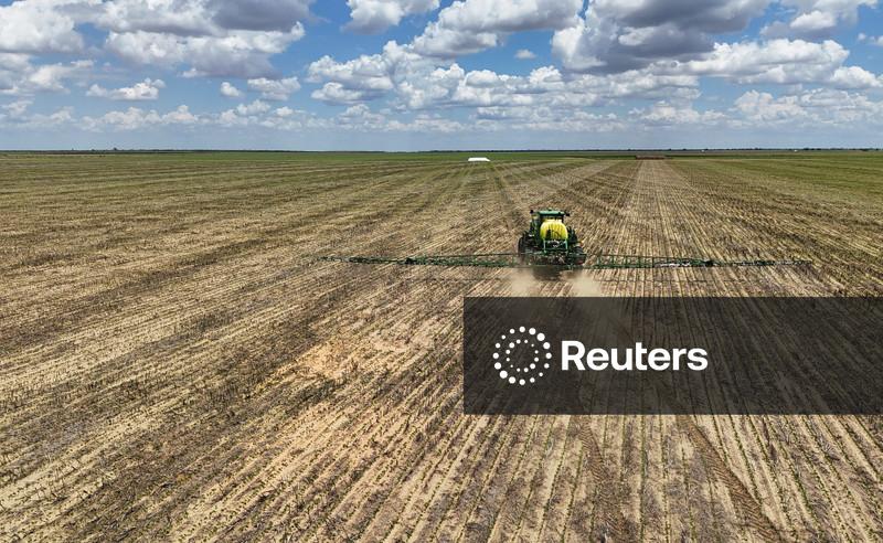 USDA mantém inalterada exportação de soja dos EUA após retomada de vendas para China