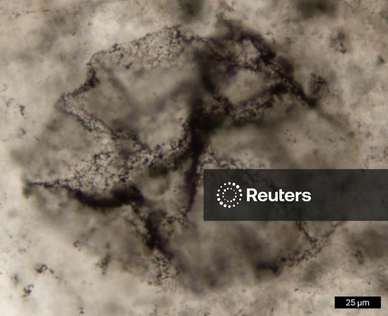 Novo método identifica sinais da vida primordial da Terra em rochas antigas