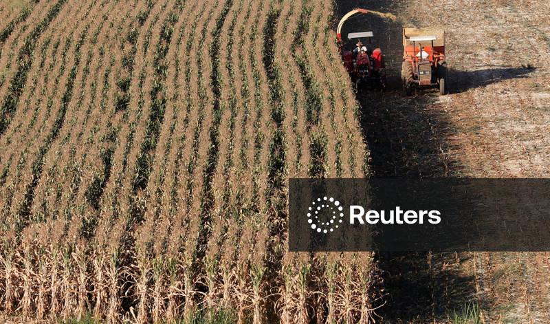 Recuperação judicial é o tema que mais afeta crédito do agronegócio, diz secretário