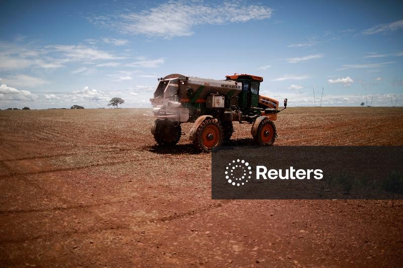 Petrobras deve reiniciar produção de fertilizantes no Nordeste até janeiro, diz diretor