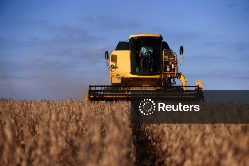 Produção de soja 25/26 do Brasil vai superar 182 mi t, estima Agroconsult