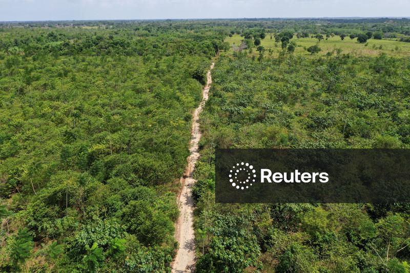 Em derrota ao governo, Congresso derruba vetos à nova lei de flexibilização ambiental