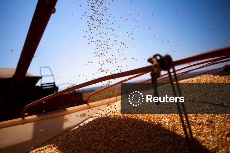 ComBio prevê triplicar receita em 5 anos com foco na energia para setor de etanol de milho