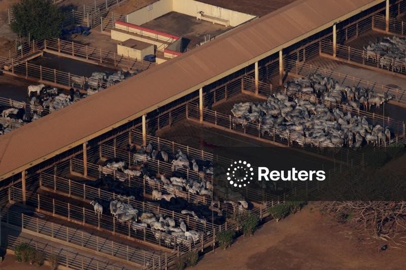 Brasil ultrapassa EUA como maior produtor de carne bovina, aliviando aperto na oferta global