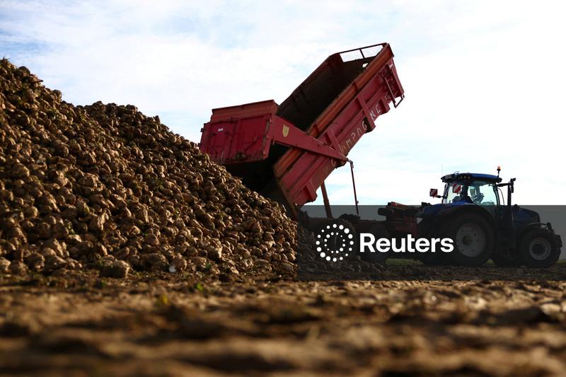 UE concorda em flexibilizar regras ambientais em reforma dos subsídios agrícolas