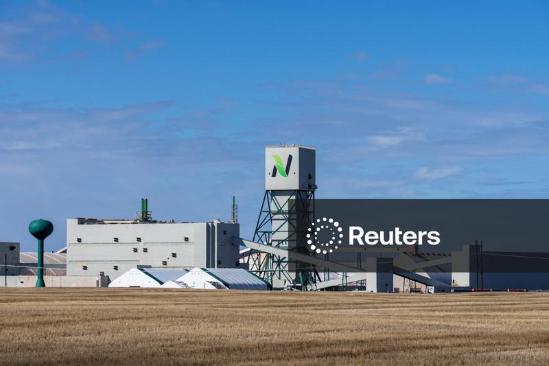 Nutrien prevê aumento na demanda por potássio apesar de baixos retornos agrícolas