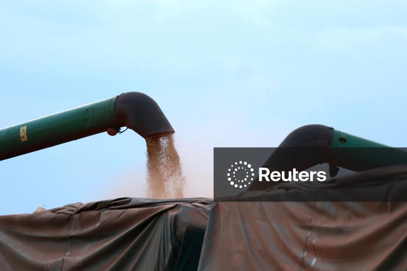 Safra de soja do Brasil 25/26 estimada em recorde de 178 mi t, diz Itaú BBA