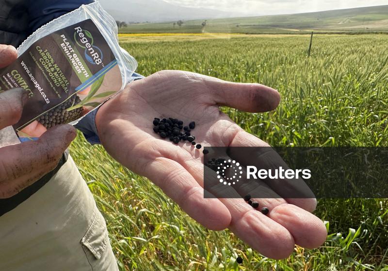 Demanda por crédito de remoção de carbono é impulsionada por empresas de tecnologia e alimenta crise de oferta